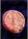 Terracotta Seal.jpg (134355 bytes)